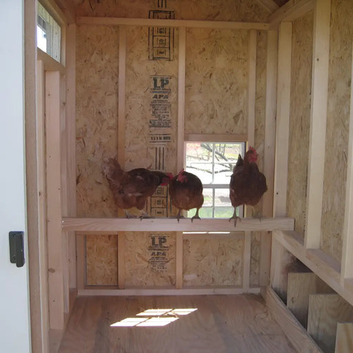 Little Cottage Company - Colonial Gable 4x6 Chicken Coop with Wheels - Interior