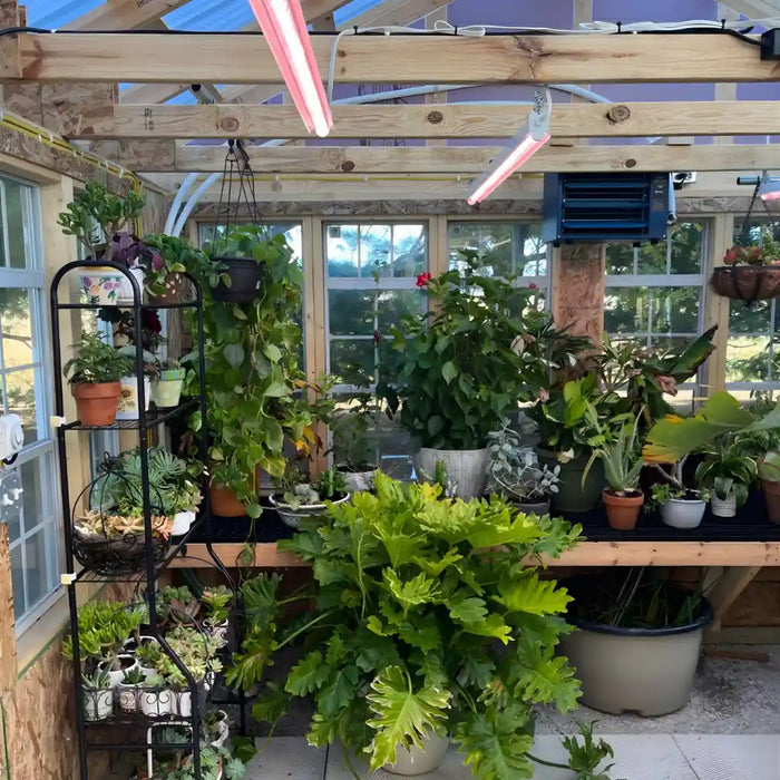 EZ FIT Greenhouse Kit with various potted plants and gardening equipment.