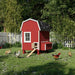 Little Cottage Company - Gambrel Barn Chicken Coop - with Nesting