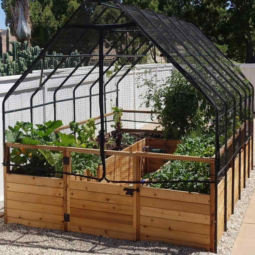 Outdoor Living Today - 8x8 Raised Garden Bed with Bird Netting Cover - Front