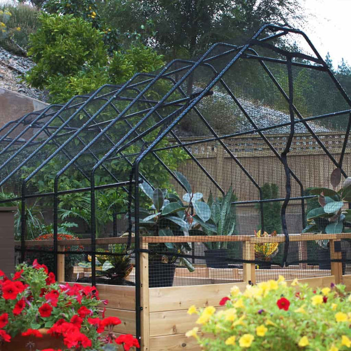 Outdoor Living Today - 8x8 Raised Garden Bed with Bird Netting Cover - Side