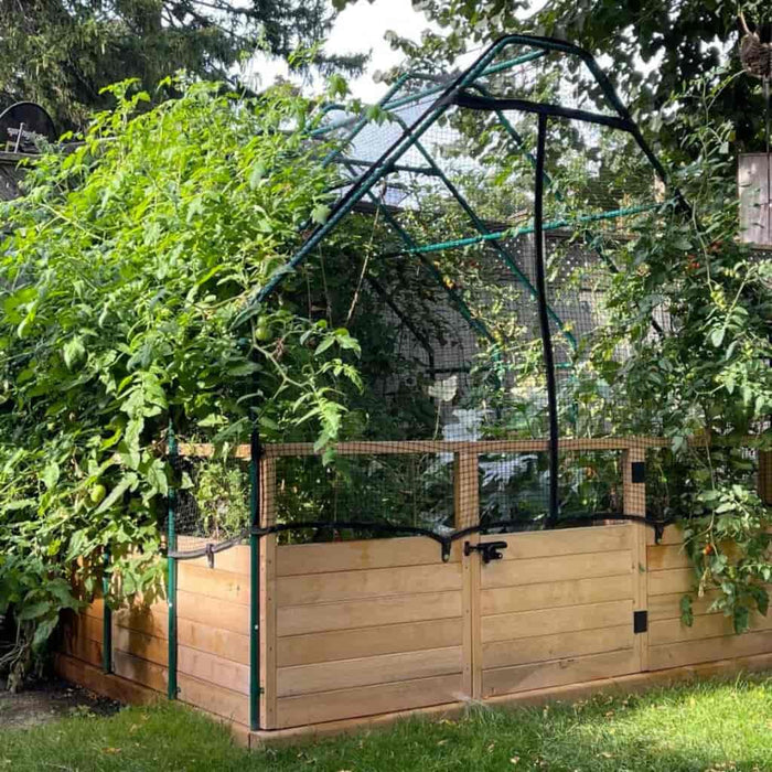 Outdoor Living Today - 8x8 Raised Garden Bed with Bird Netting Cover - Full View