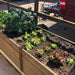 Outdoor Living Today - 6x3 Raised Garden Bed with Trellis/Lid - with plants