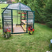 Grandio - Elite 8x8 Greenhouse Kit - with Plants Inside