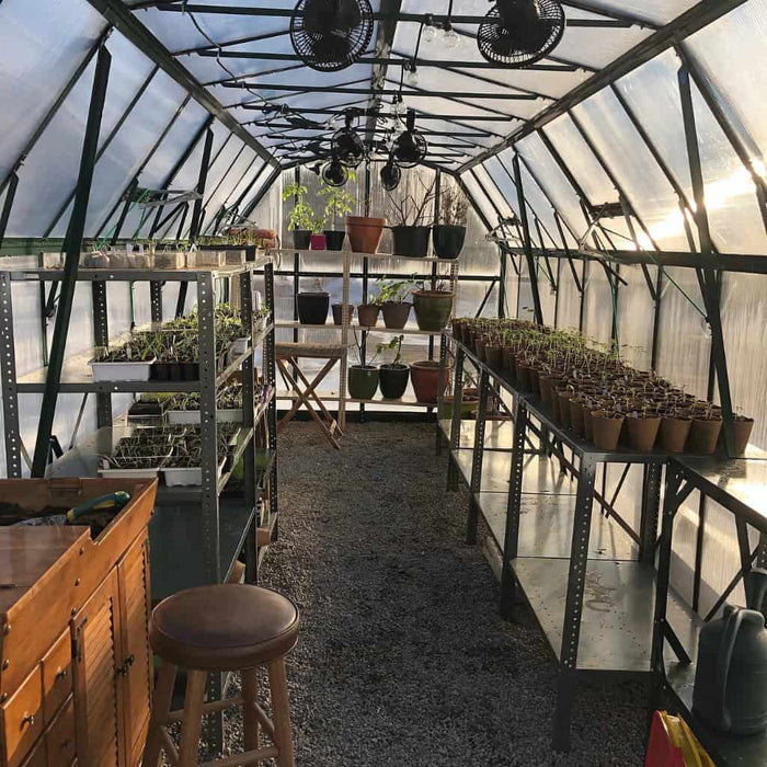 Grandio Greenhouses - Elite 8x24 Greenhouse Kit - Interior with Plants