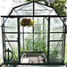 Grandio - Elite 8x8 Greenhouse Kit - with Plants