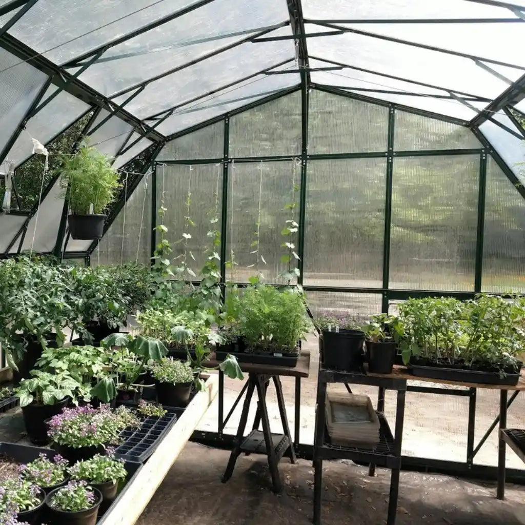 プレーヤー GREENHOUSE grandio-summit-12x28-