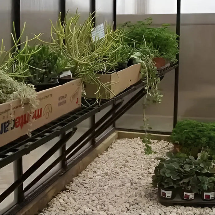 Riverstone Industries - Mont Moheat Edition Black Greenhouse - Shelf with Plants