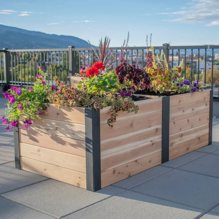 Outdoor Living Today 6x3 Urban Cedar Raised Garden Bed with flowers on a rooftop with a cityscape background