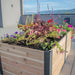 Outdoor Living Today 6x3 Urban Cedar Raised Garden Bed with colorful flowers on a rooftop with a cityscape background