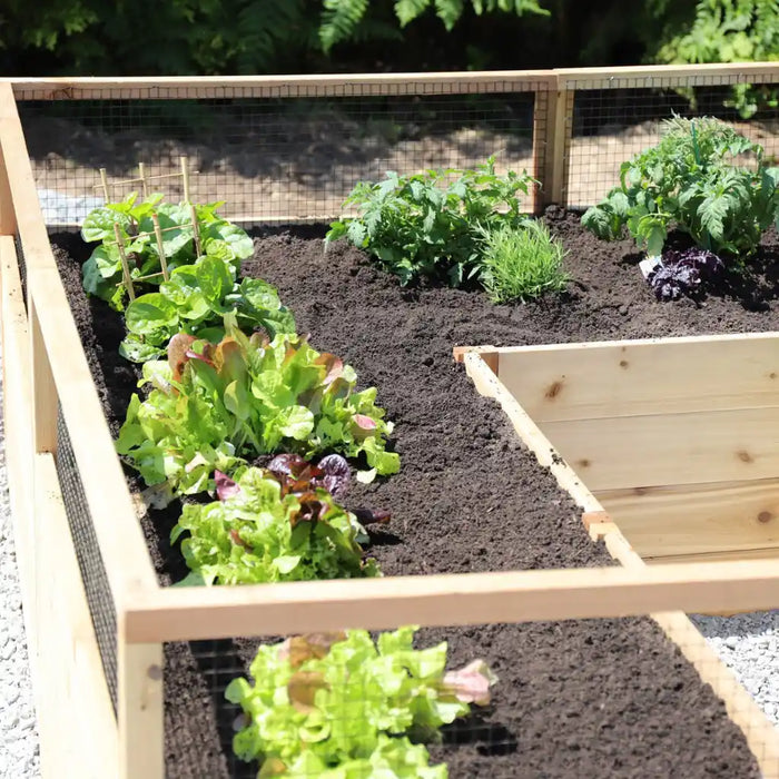 Outdoor Living Today - 8x8 Raised Cedar Garden Bed