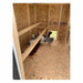 Chickens standing inside the OverEZ Large Chicken Coop near wooden roosts.