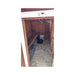 Chicken inside a red Large Chicken Coop near the roost area
