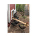 Chickens using a customer-added ramp at a red Large Chicken Coop