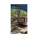 Customer setup with a red Large Chicken Coop beside a shaded covered run