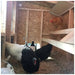 Chickens standing inside OverEZ Medium Chicken Coop