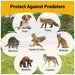 Predators that chicken coops help protect against