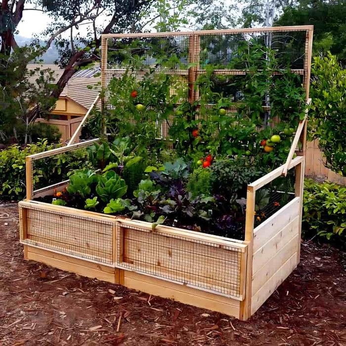 raised garden planter with trellis Outdoor Living Today 6x3 Raised Garden Bed with Trellis/Lid