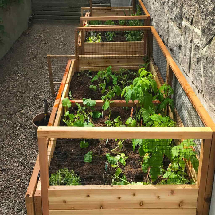 raised garden planter with trellis Outdoor Living Today 6x3 Raised Garden Bed with Trellis/Lid