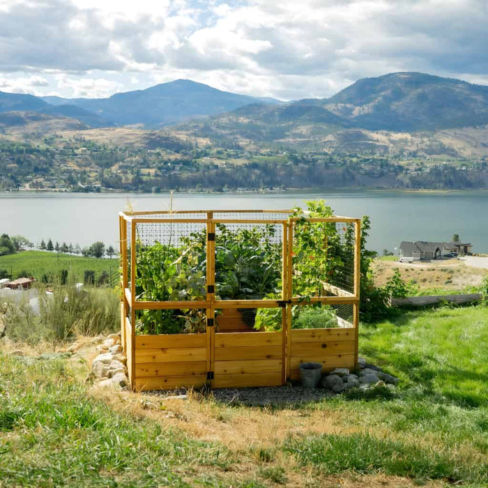 Outdoor Living Today 8x8 Deer Proof Raised Garden Bed