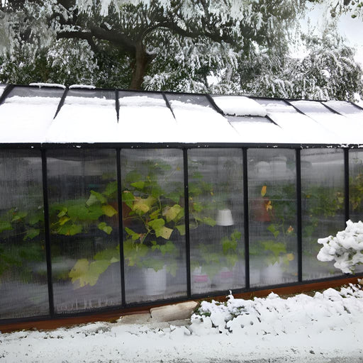 Riverstone Industries - Mont Moheat Edition Black Greenhouse - Side in Snow
