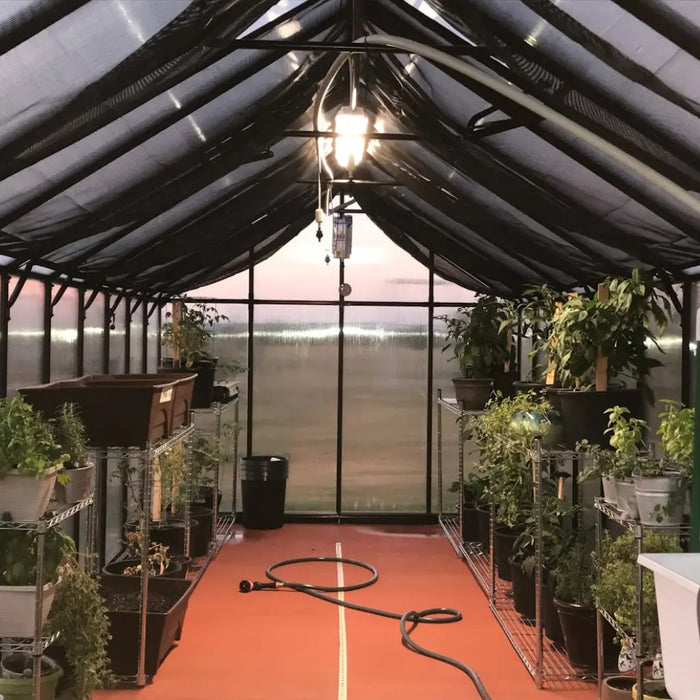 Riverstone Industries Monticello Black Greenhouse Premium