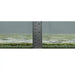 Ruler placed at the edge of the Royal Green and Ivory rug