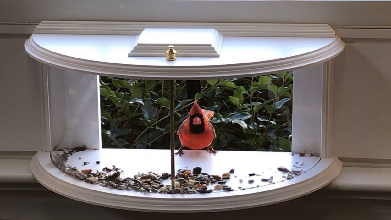 actual photo of clearview window bird feeder