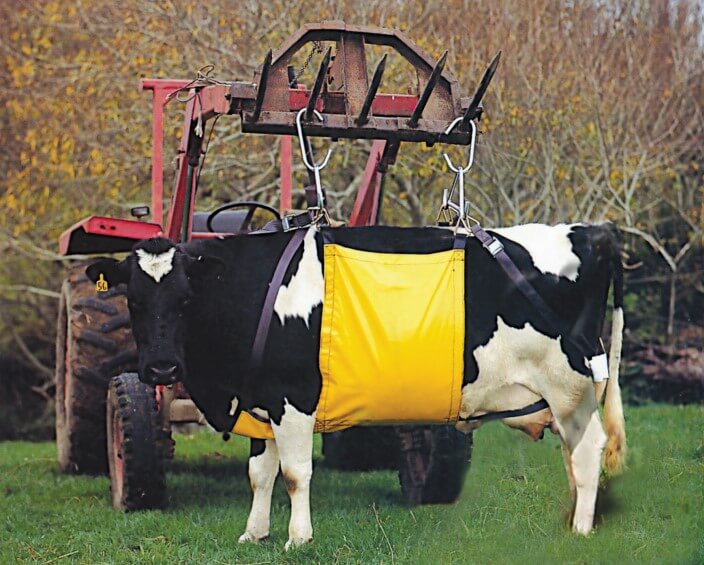 Coburn Easy Cow Lifter