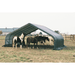 ShelterLogic 22x24x12 Peak Style Run-In Shelter with Green Cover - Full View Outdoor