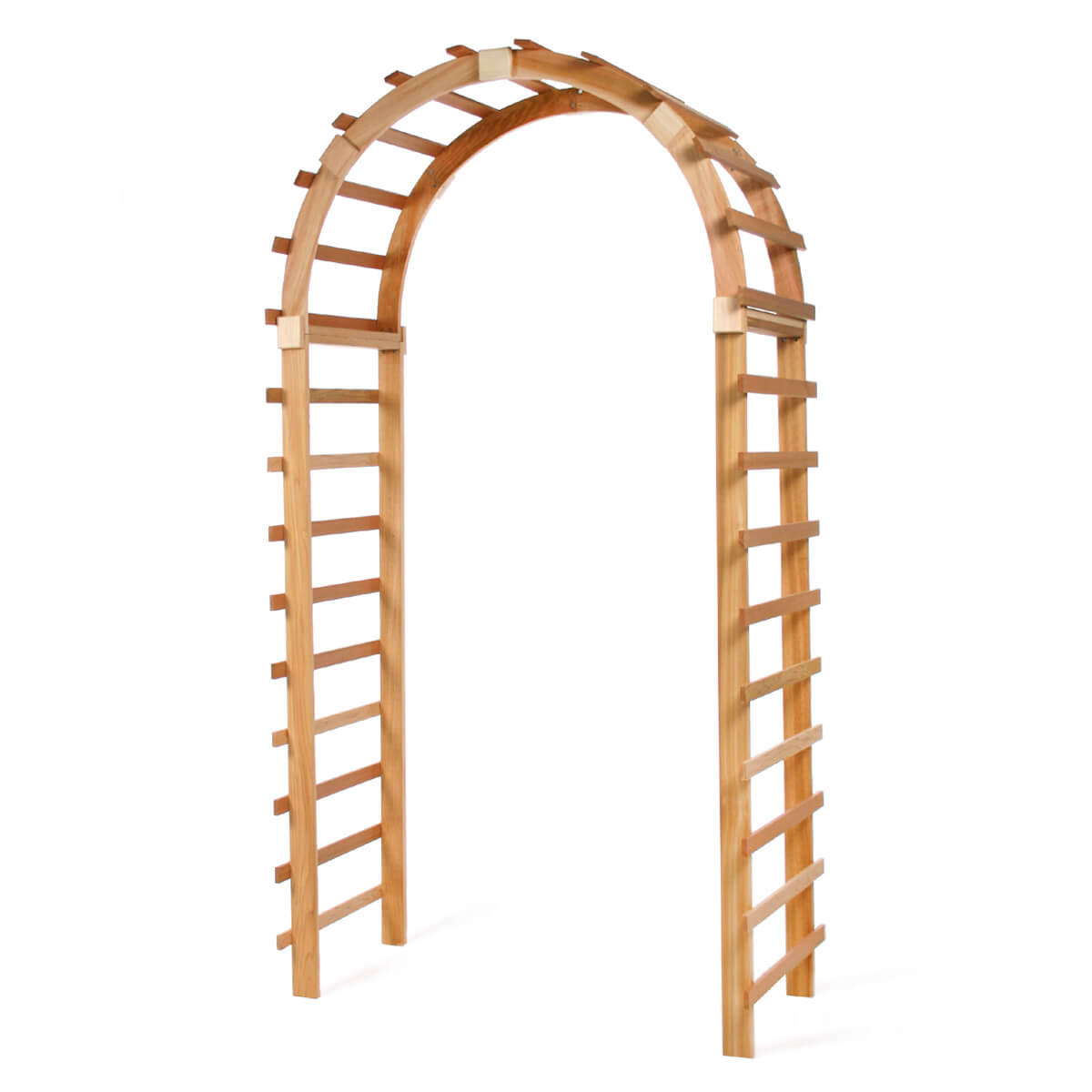 Trellis Arbor