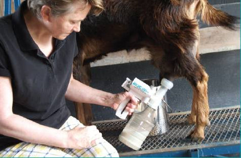 Portable Goat Milking Machine | Udderly EZ
