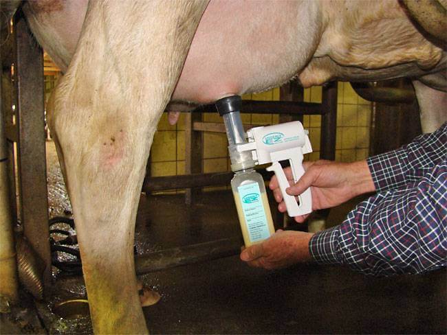 Portable Milking Machines For Cows