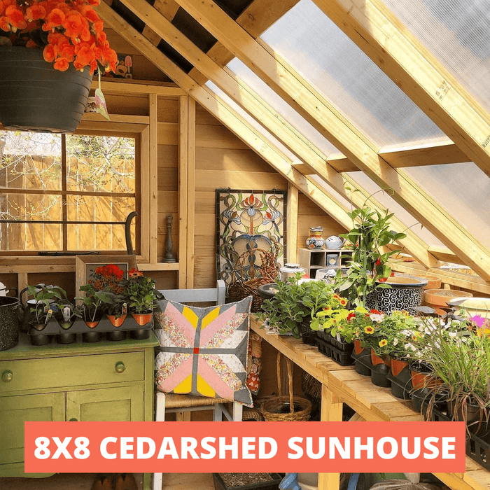 Cedarshed - Sunhouse 8x8 Cedar Greenhouse - Interior