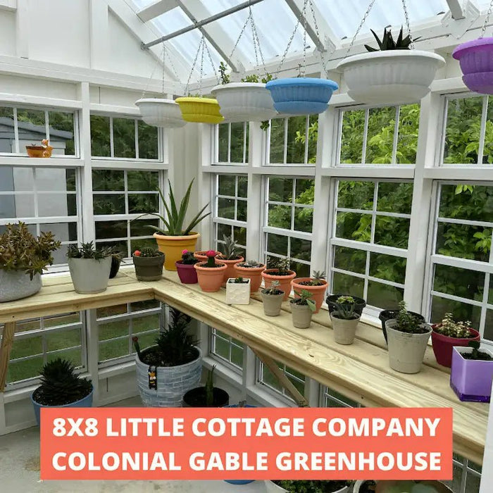 little cottage company colonial gable greenhouse interior with plants