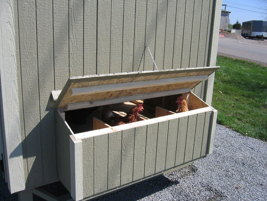 Colonial 4x6 Gable Coop with Wheels Kit Inside View