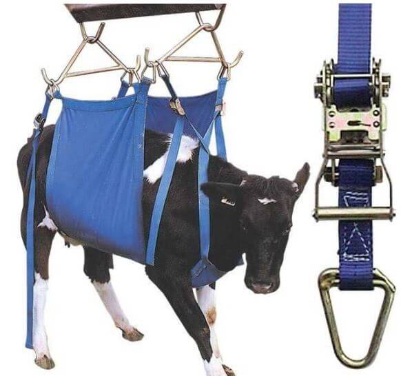 Coburn Daisy Heavy Duty Cow Lifter - Full View