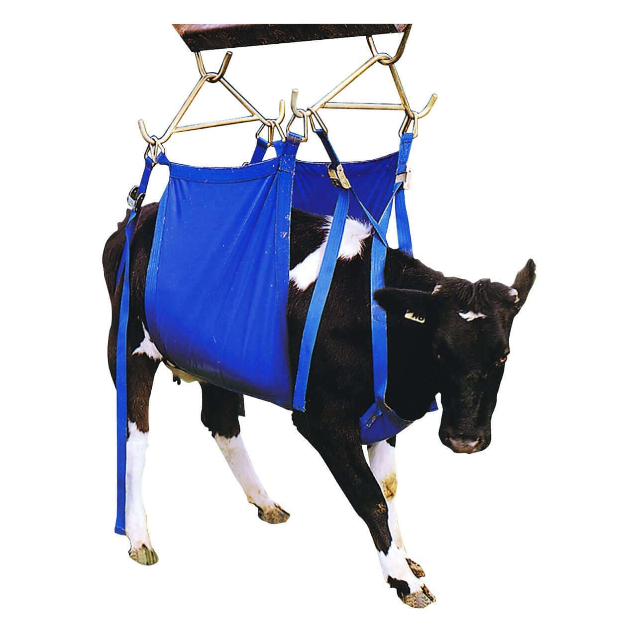 Cow Lifts